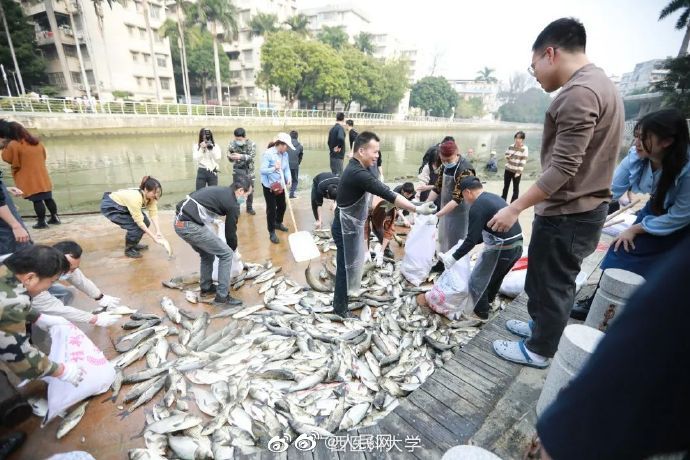 校內(nèi)で捕獲した魚3750キロを教員と學生にふるまう大學　広西