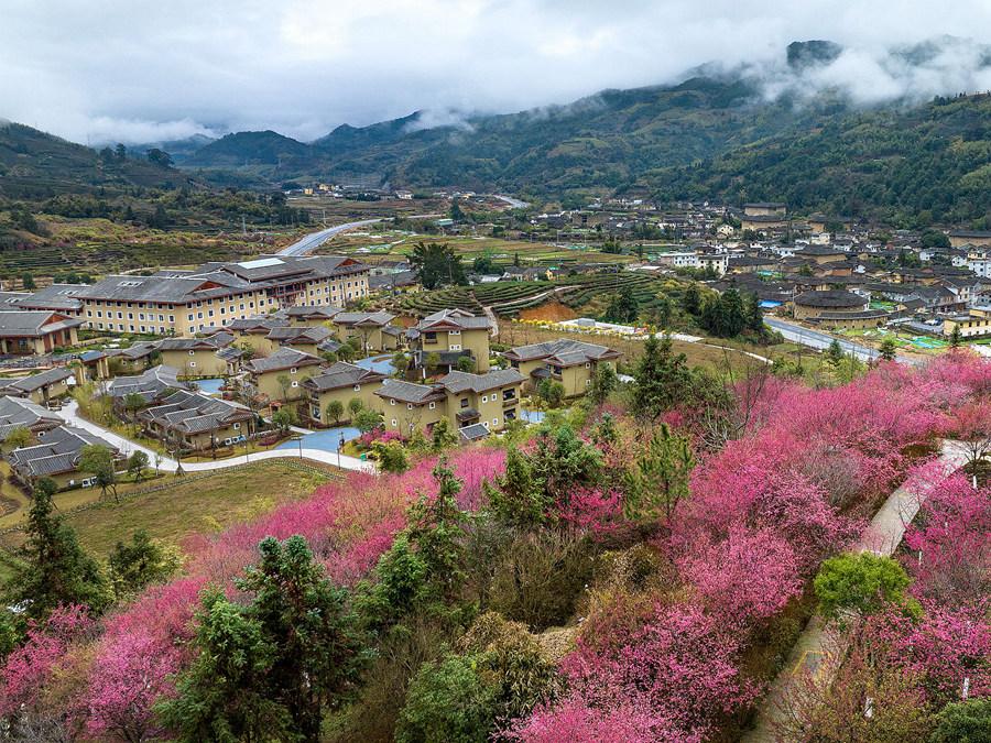 美しい春の景色広がる南靖土樓　福建省漳州