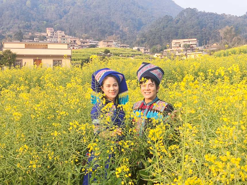 満開(kāi)を迎えた広大な菜の花畑　広西桂平