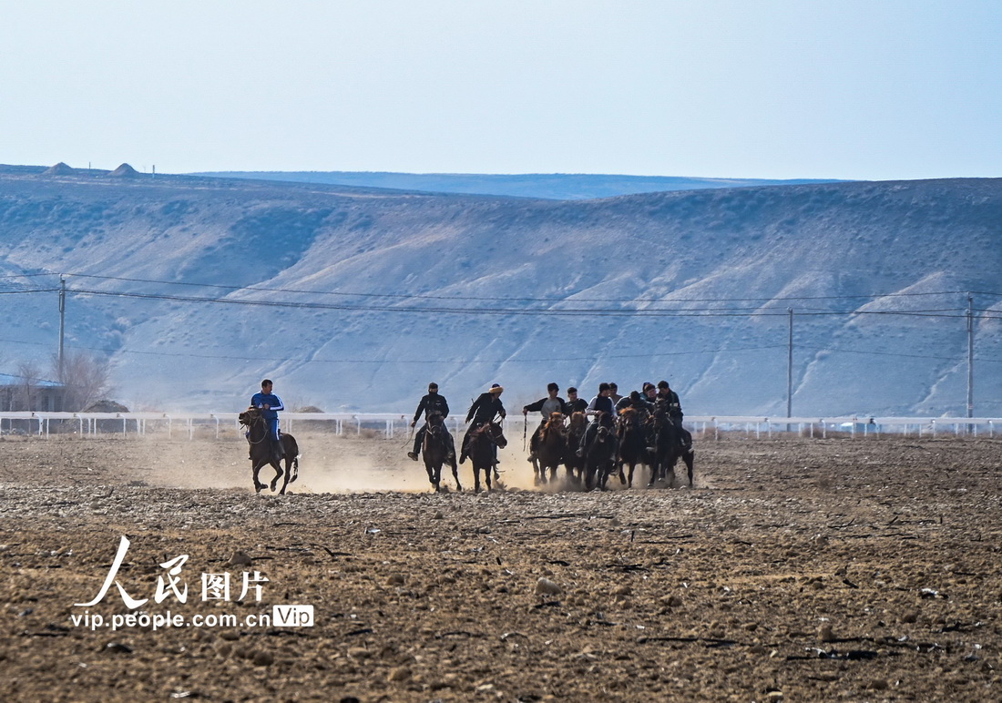 迫力たっぷりな伝統(tǒng)的な競馬パフォーマンスに歓聲　新疆呼図壁