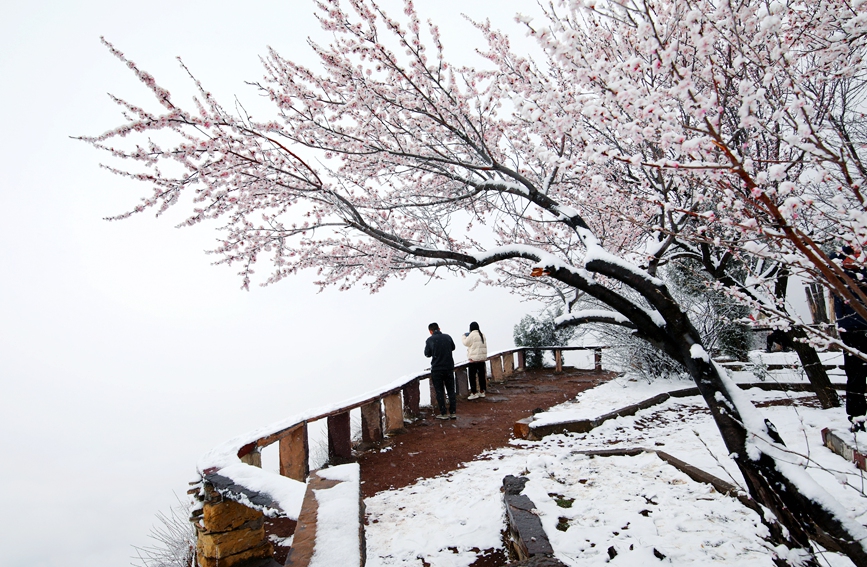 雪化粧を施された太行山の絶景