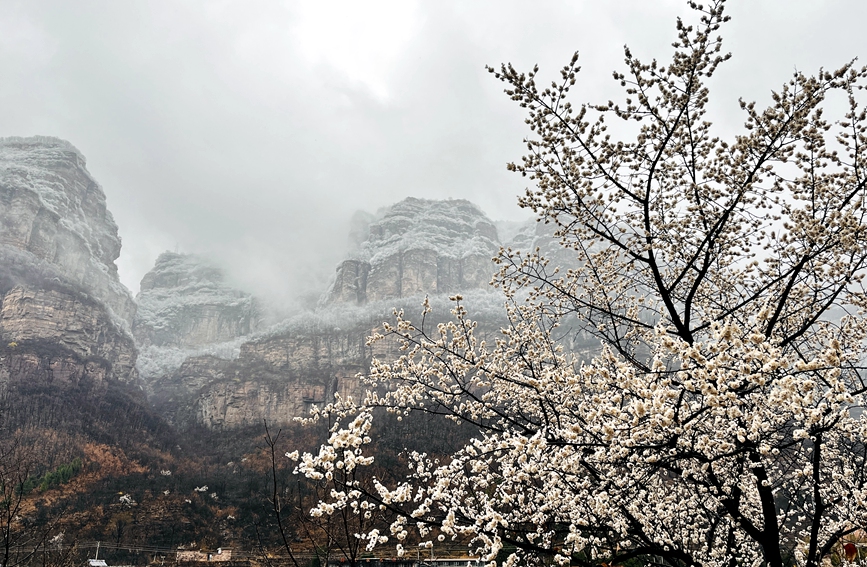 雪化粧を施された太行山の絶景