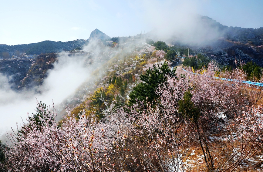 雪化粧を施された太行山の絶景