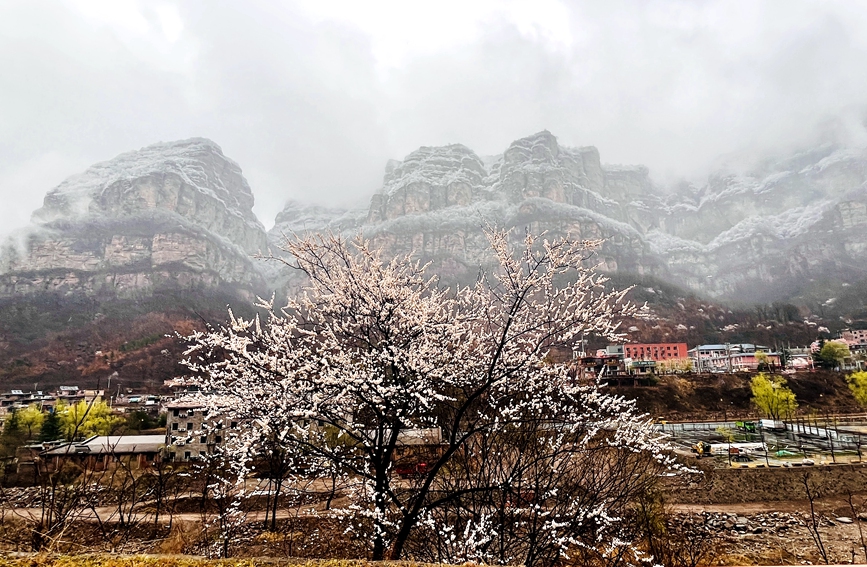 雪化粧を施された太行山の絶景