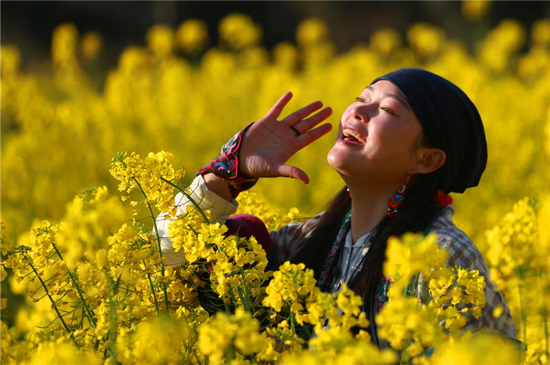 広大な鳳堰古棚田で菜の花が満開に　陝西省漢陰