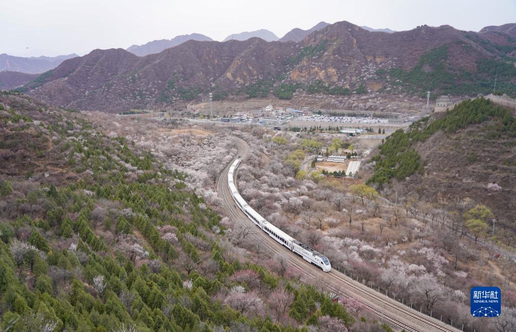 長城の「花咲く線路」を走り抜ける列車　北京