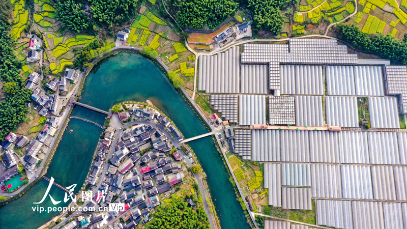 浙江省杭州市淳安県楓樹嶺鎮(zhèn)下姜村に広がる春景色（撮影?楊波/寫真著作権は人民図片が所有のため転載禁止）。