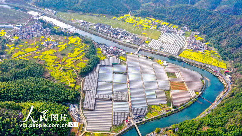 山村を彩る田園の春景色　浙江省淳安