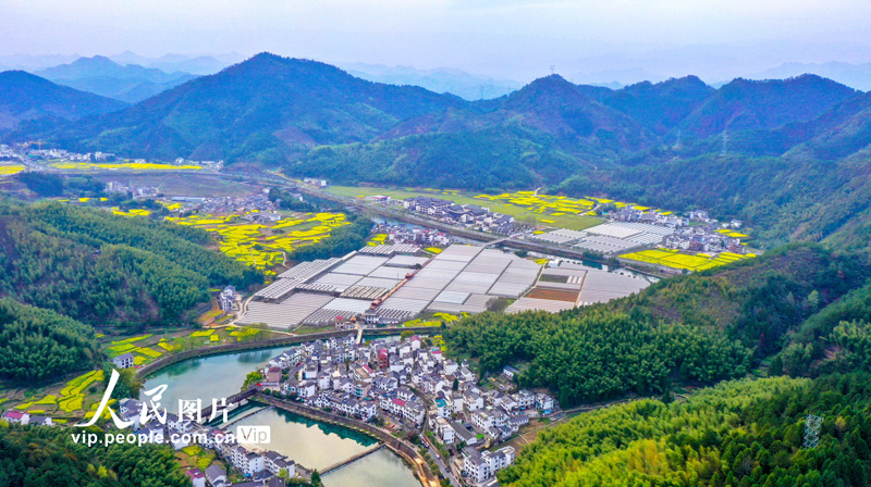 山村を彩る田園の春景色　浙江省淳安