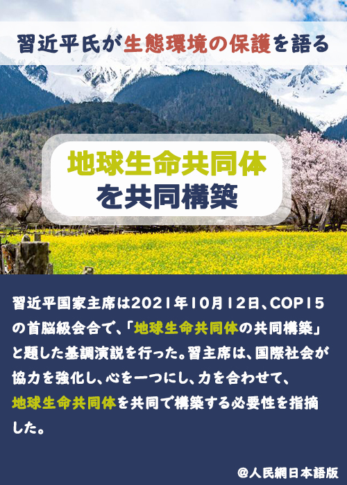 【習(xí)近平氏が生態(tài)環(huán)境の保護(hù)を語(yǔ)る】地球生命共同體を共同構(gòu)築