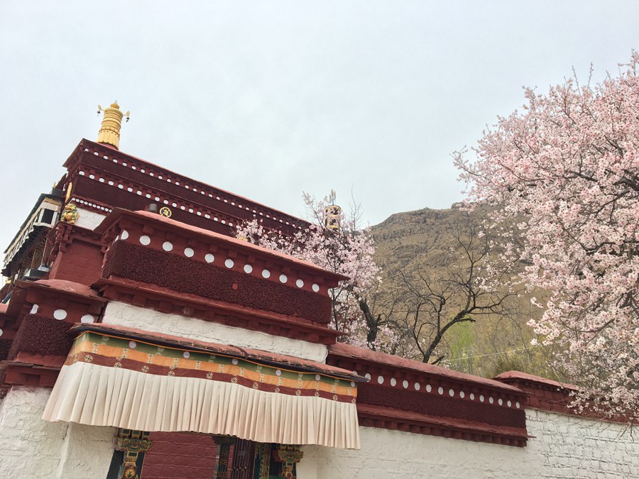 お寺と桃の花