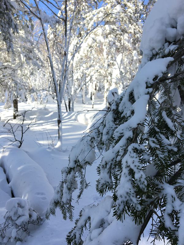 雪國