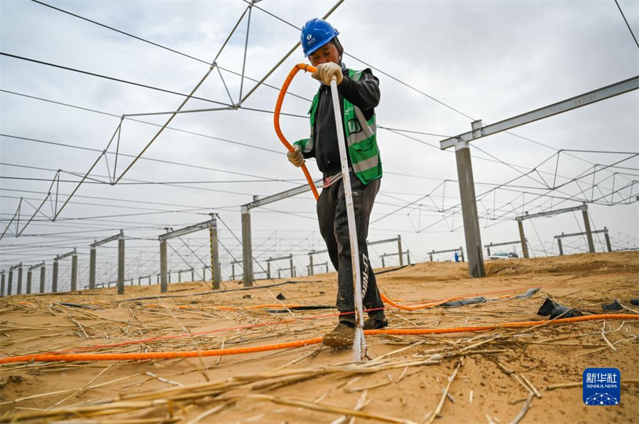 太陽光発電砂漠化対策拠點(diǎn)で植物を栽培　內(nèi)蒙古