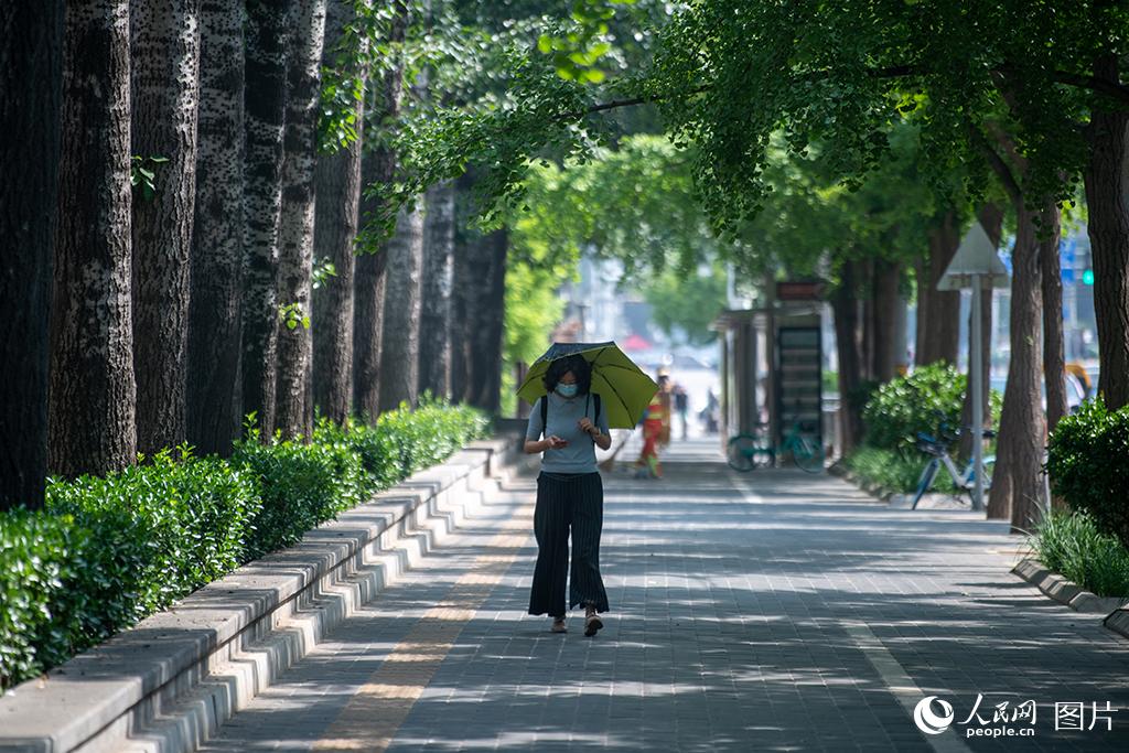 北京の街頭で、日差しを避けるために日傘をさして外出する市民（5月15日撮影?翁奇羽）。