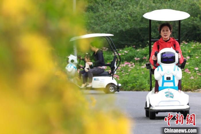 公園に「コンパニオンロボット付カート」が登場(chǎng)　湖北省襄陽