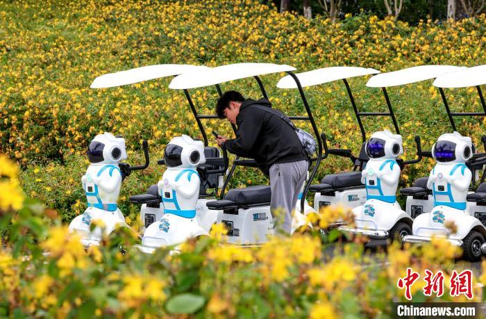 公園に「コンパニオンロボット付カート」が登場　湖北省襄陽