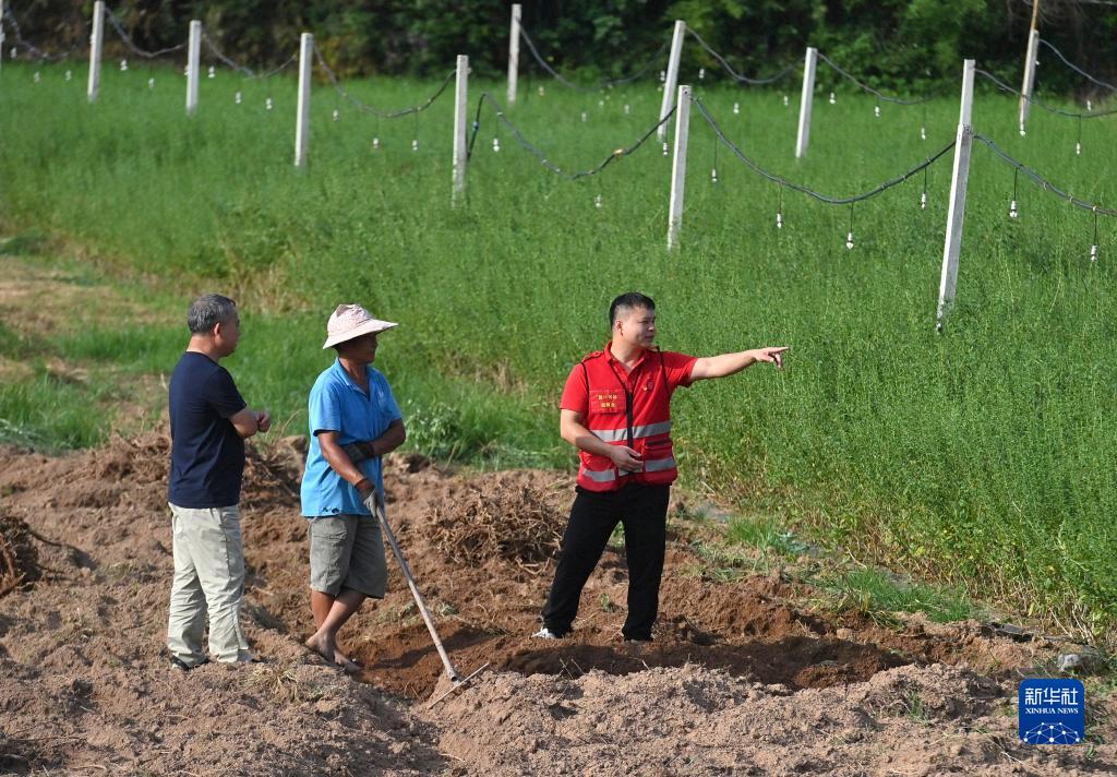 「20萬元プラス」行動(dòng)で農(nóng)村振興を後押し　広西