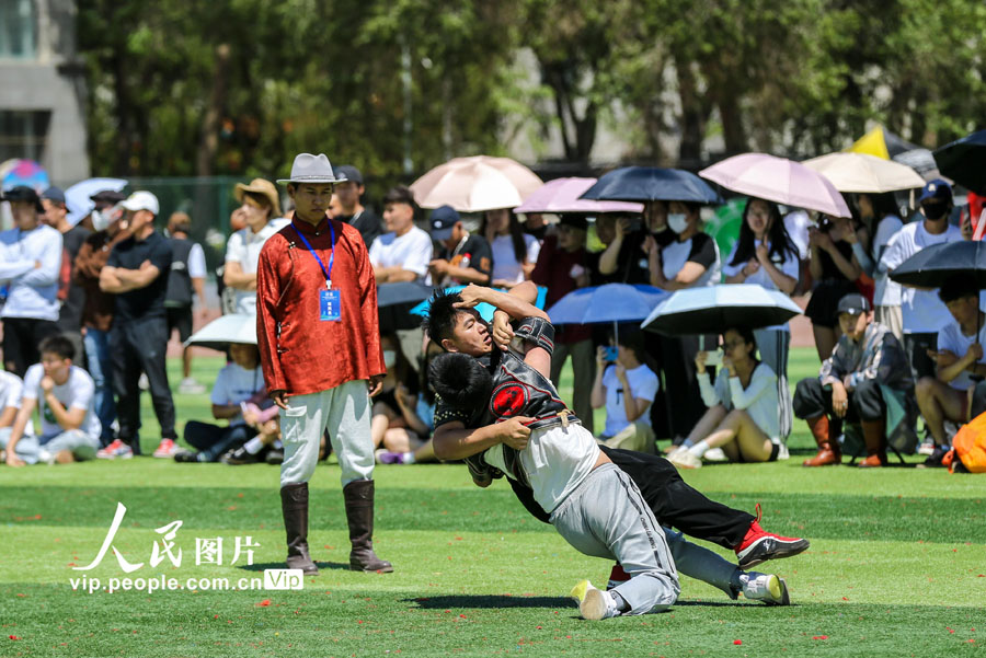 大學キャンパスで行われた民族の祭典「ナーダム」　內(nèi)蒙古