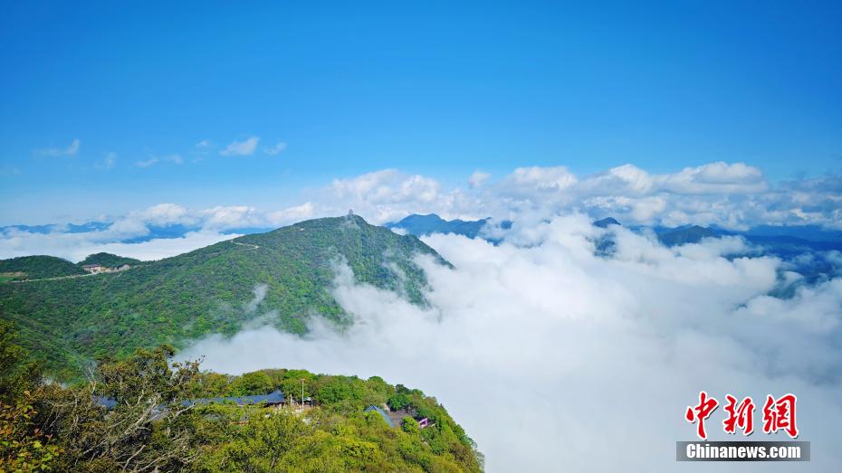 竜頭山で雲(yún)と夏を堪能　陝西省