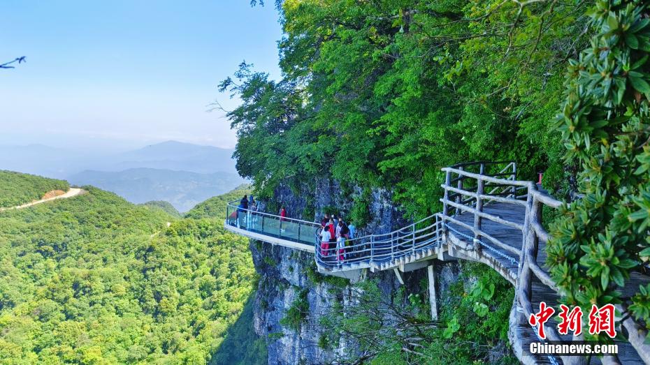 竜頭山で雲(yún)と夏を堪能　陝西省