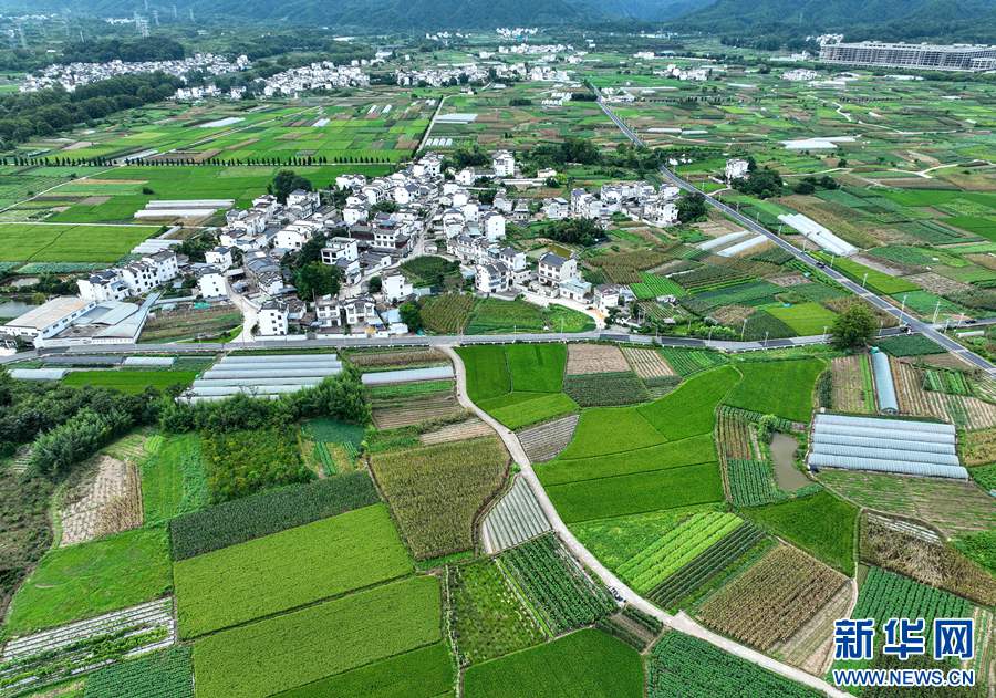 緑あふれる夏の田園風(fēng)景　安徽省黃山市