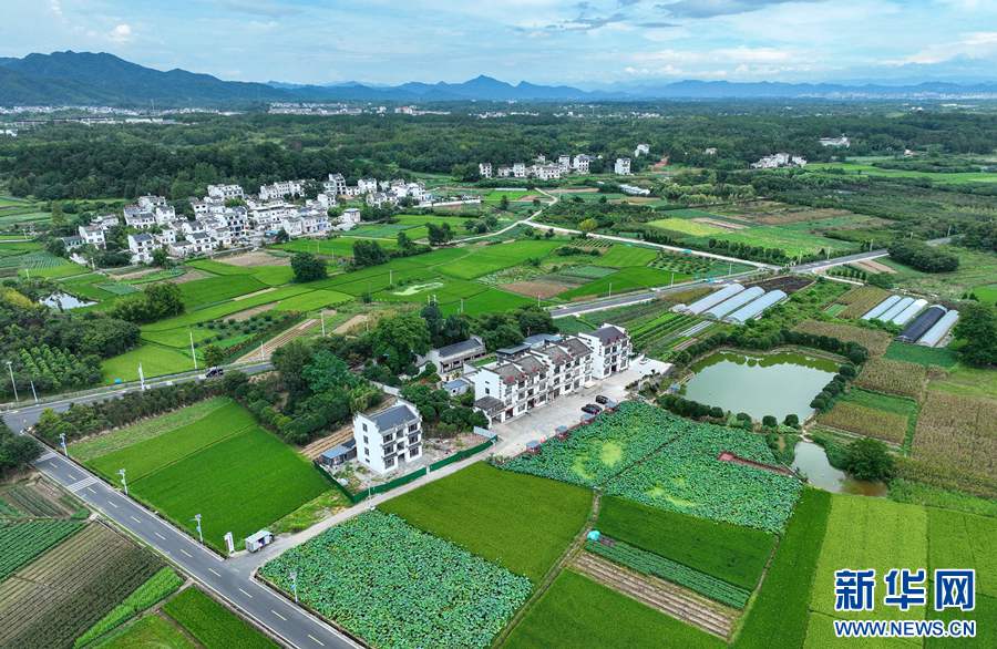 緑あふれる夏の田園風(fēng)景　安徽省黃山市