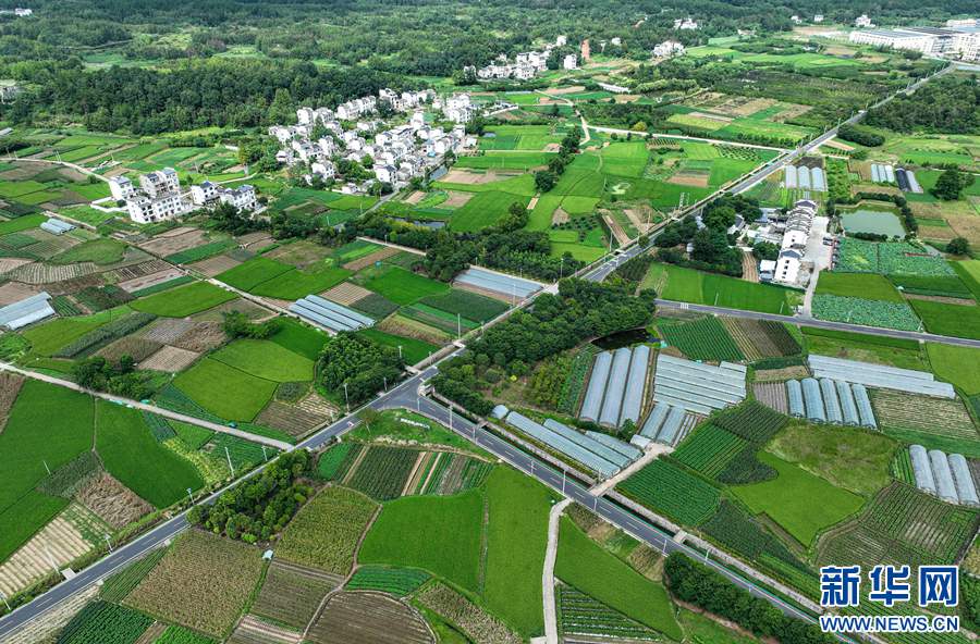 緑あふれる夏の田園風(fēng)景　安徽省黃山市