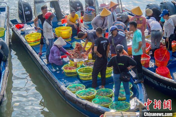 広西?北海の港灣ふ頭に現(xiàn)れた「魚市場」　漁解禁後初の漁獲がずらり