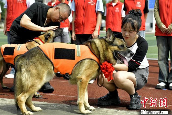 引退する捜索救助犬4匹を里親へ　四川省成都市