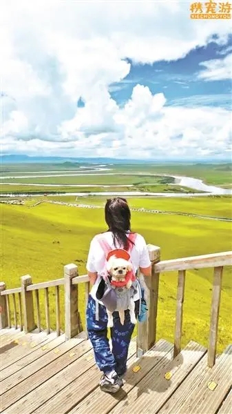 イヌと一緒に旅行を楽しむ女性。