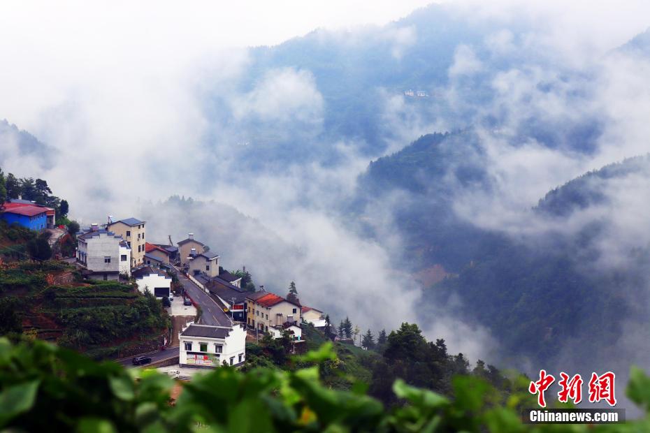 幻想的な景色広がる三峽ダム區(qū)の「雲(yún)海茶谷」　湖北省