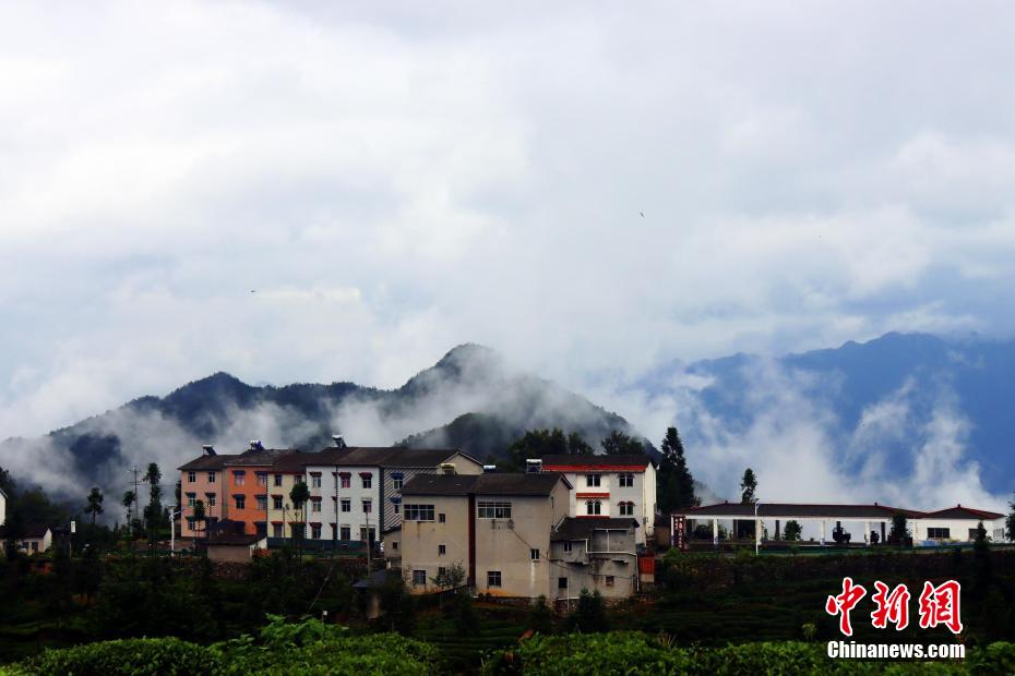 幻想的な景色広がる三峽ダム區(qū)の「雲(yún)海茶谷」　湖北省