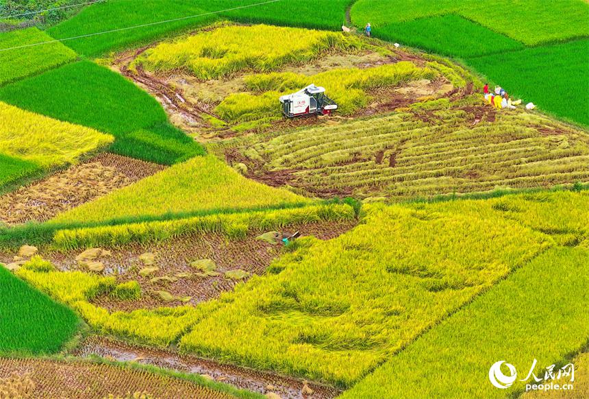 収穫の秋に広がる美しい風(fēng)景　江西省信豊