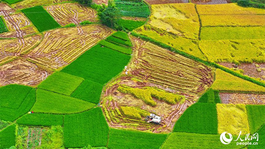 収穫の秋に広がる美しい風(fēng)景　江西省信豊