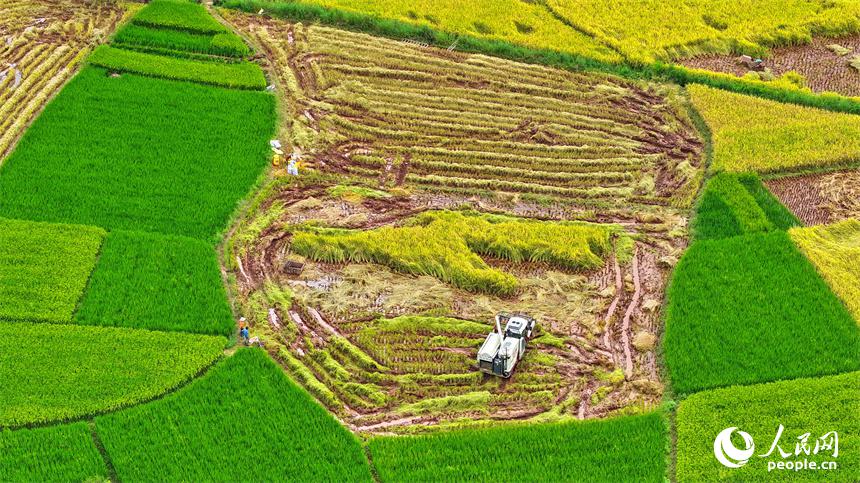 収穫の秋に広がる美しい風(fēng)景　江西省信豊