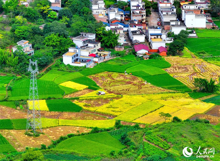 収穫の秋に広がる美しい風(fēng)景　江西省信豊