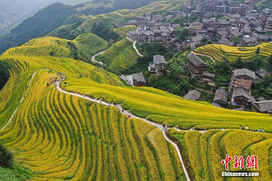 世界の重要な農(nóng)業(yè)文化遺産「龍脊棚田」が観光ベストシーズンに