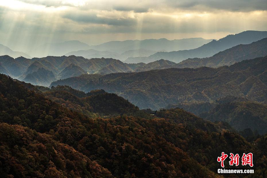 霧に包まれ、秋色に輝く山々　湖北省神農(nóng)架