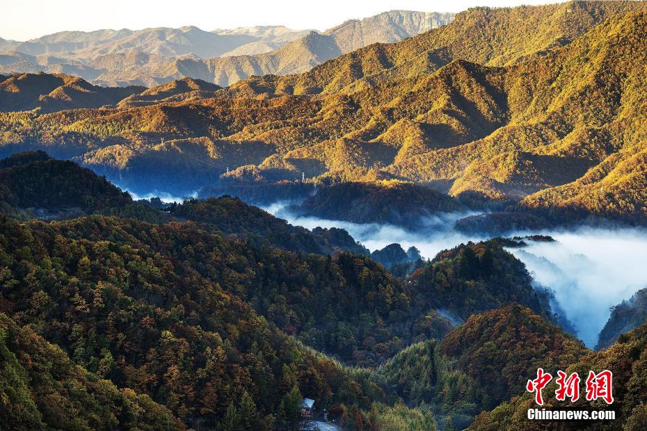 霧に包まれ、秋色に輝く山々　湖北省神農(nóng)架