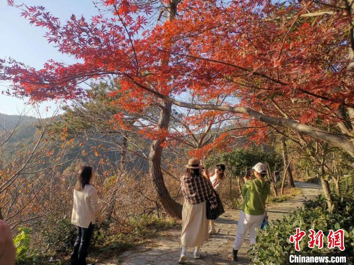 木蘭清涼寨で色づく初冬の紅葉　湖北省武漢