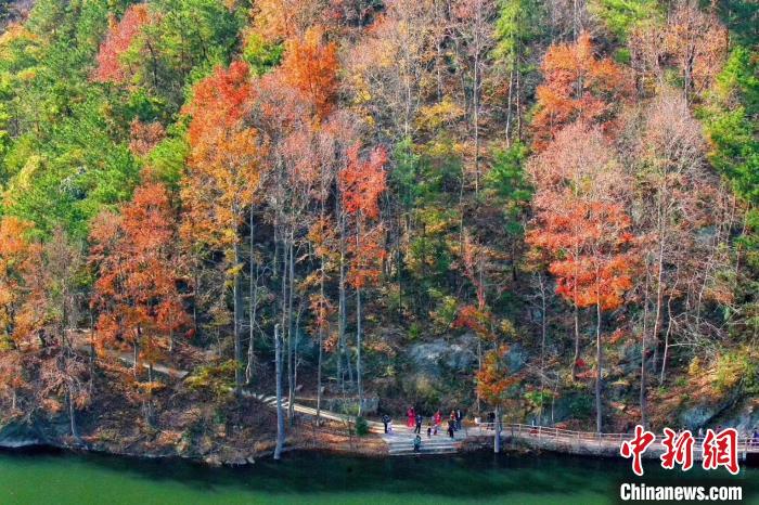 木蘭清涼寨で色づく初冬の紅葉　湖北省武漢