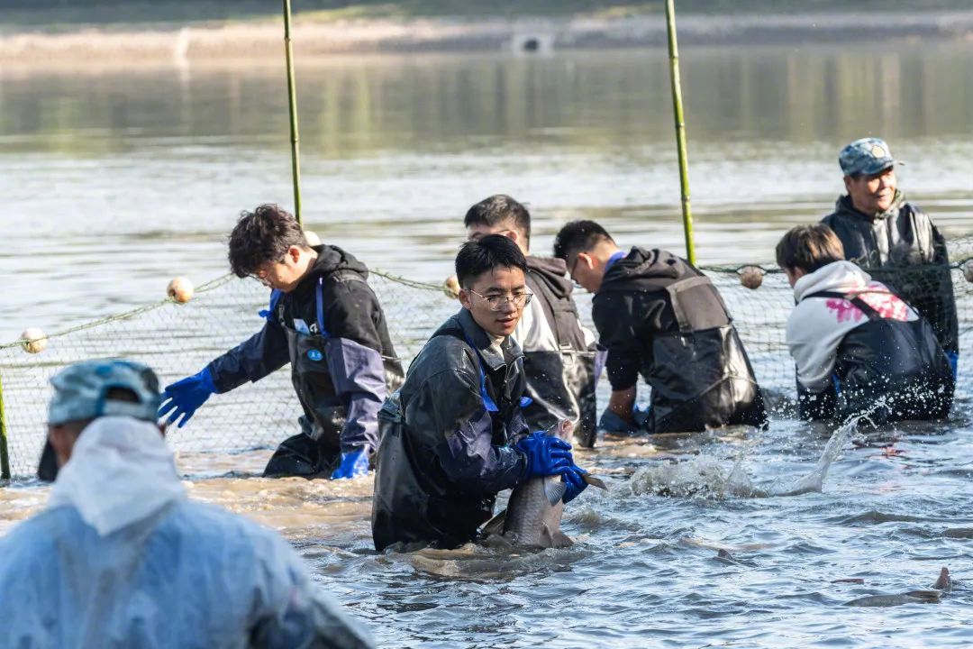 魚を食べよう！湖北省の武漢科技大學(xué)で魚捕り＆グルメイベント