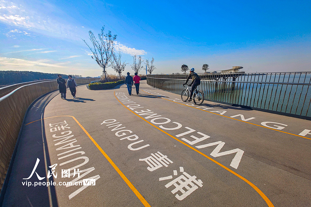 上海市と江蘇省蘇州市を結(jié)ぶ元蕩慢行橋が人気スポットに