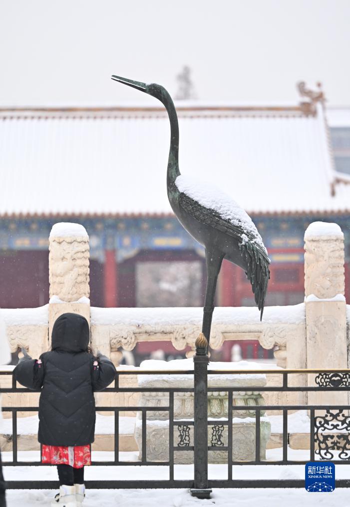 故宮の雪景色を愛(ài)でる　北京