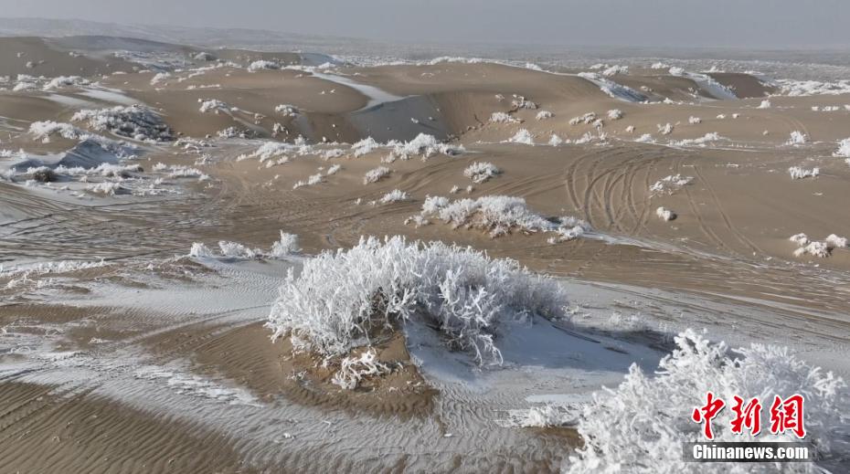 砂漠の霧氷（撮影?劉極偉）。