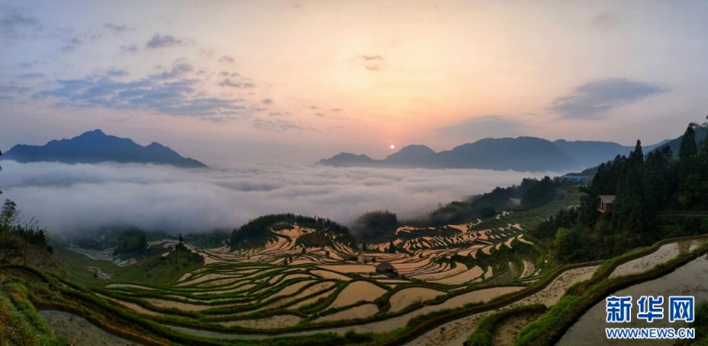 雲(yún)和棚田景勝地