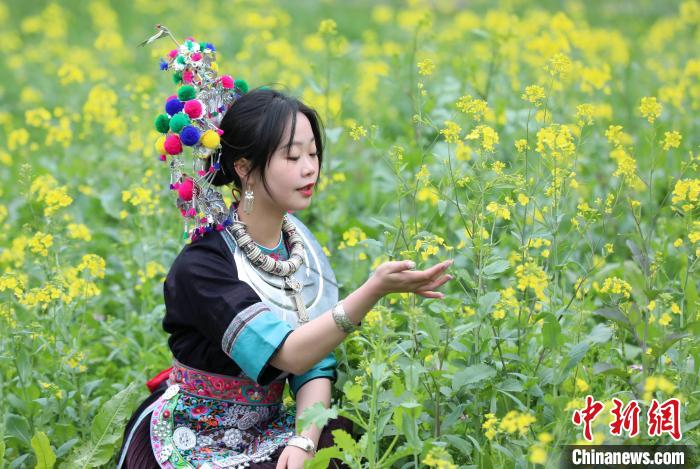 広西?三江　ほころぶ花にたくさんの観光客