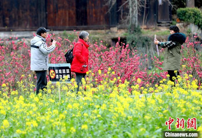 広西?三江　ほころぶ花にたくさんの観光客