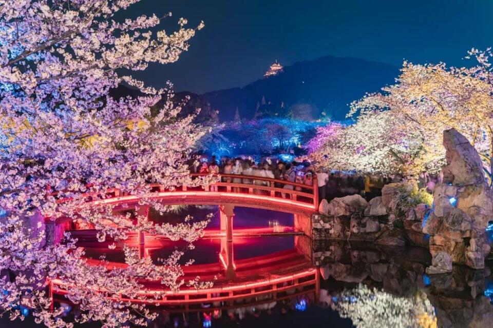 東湖桜花園の景色（寫真提供?東湖景勝地）。