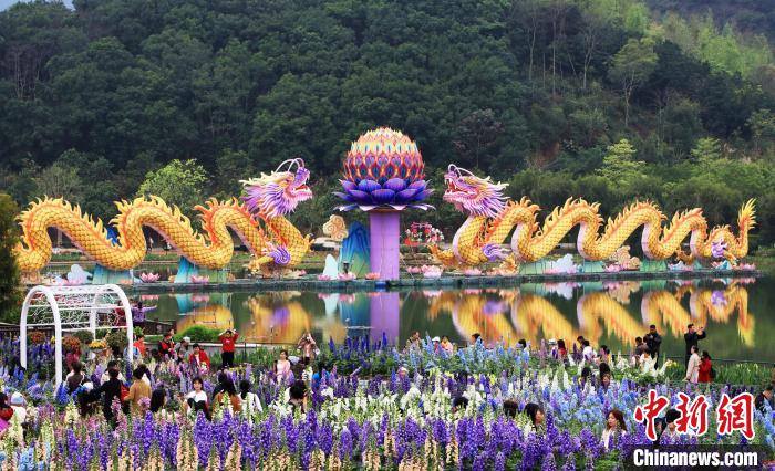 南寧青秀山景勝地の水生花園に咲き誇る花々（撮影?黃雲(yún)峰）。